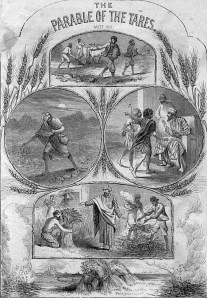 Parable of the Wheat and Weeds