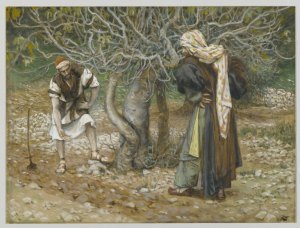 Parable of the Barren Fig Tree 1