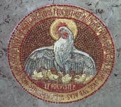 Under the Wings of a Hen