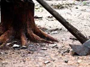 axe-laid-at-the-root-of-the-tree