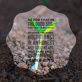 Bear Fruit with Patience Sower