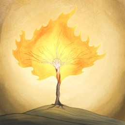 Exodus 3_14 - Burning Bush